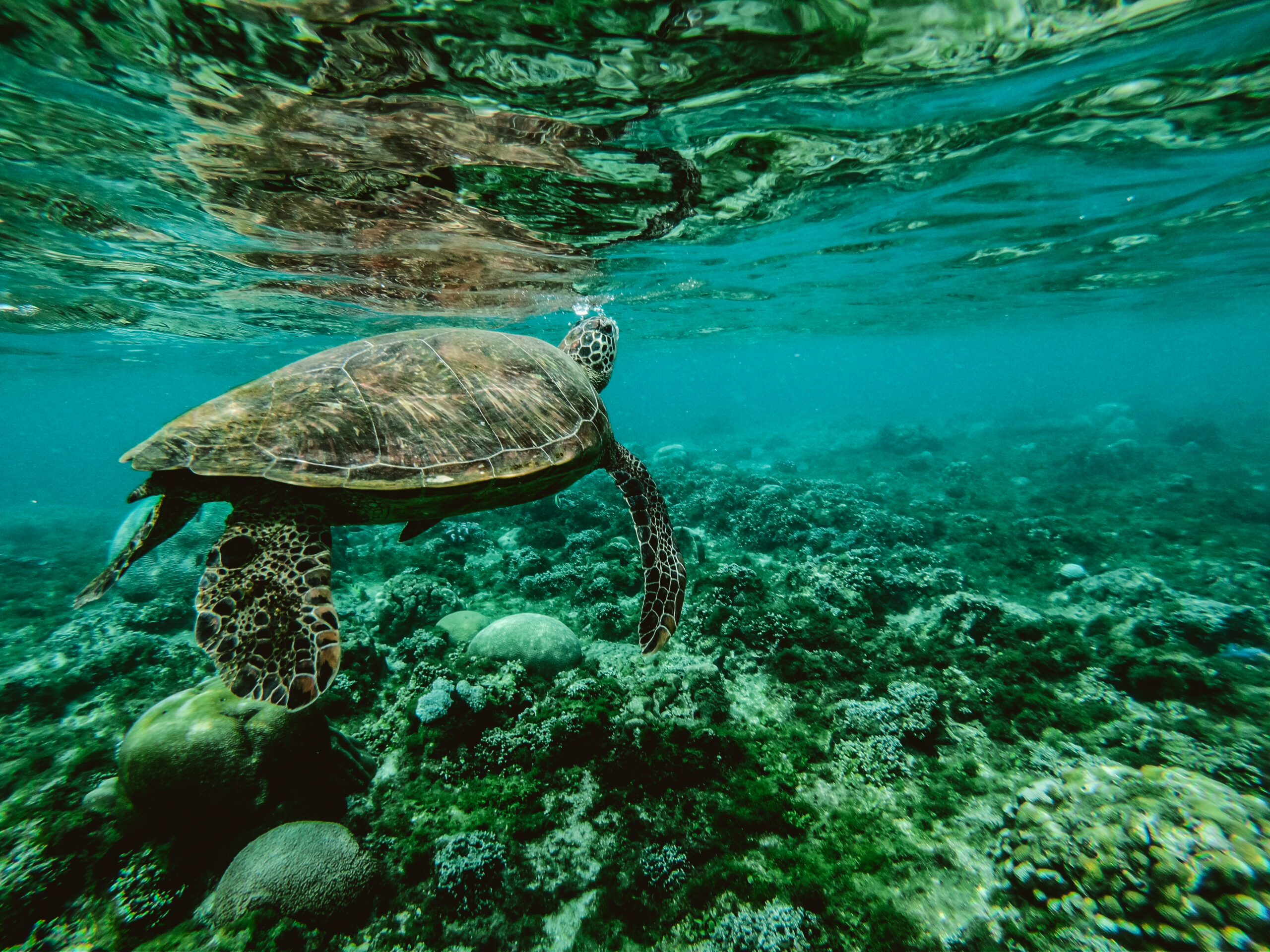 DCIM100GOPROGOPR7340.JPG