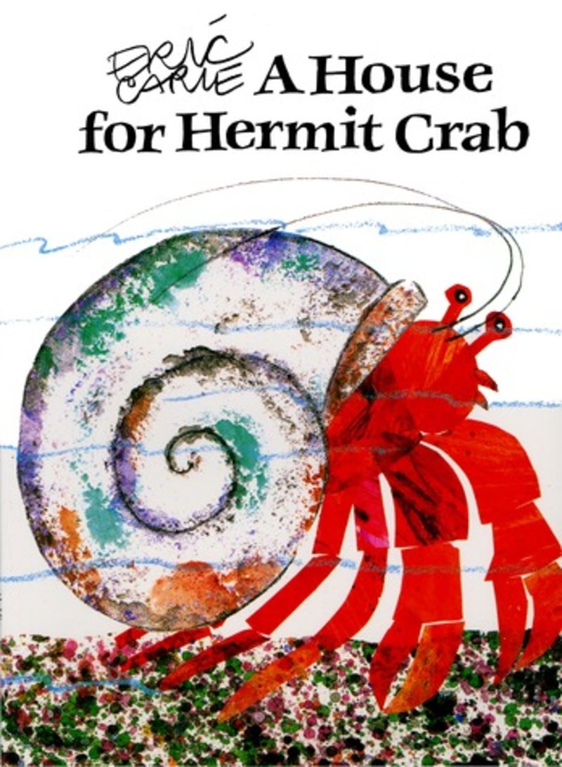 a house for hermit crab