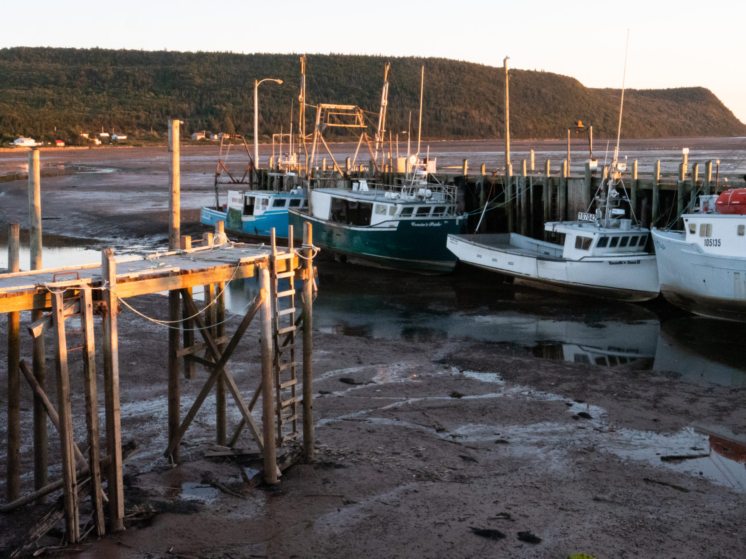 Vertical Tidal Action_Bay of Fundy_Patricia Chambers