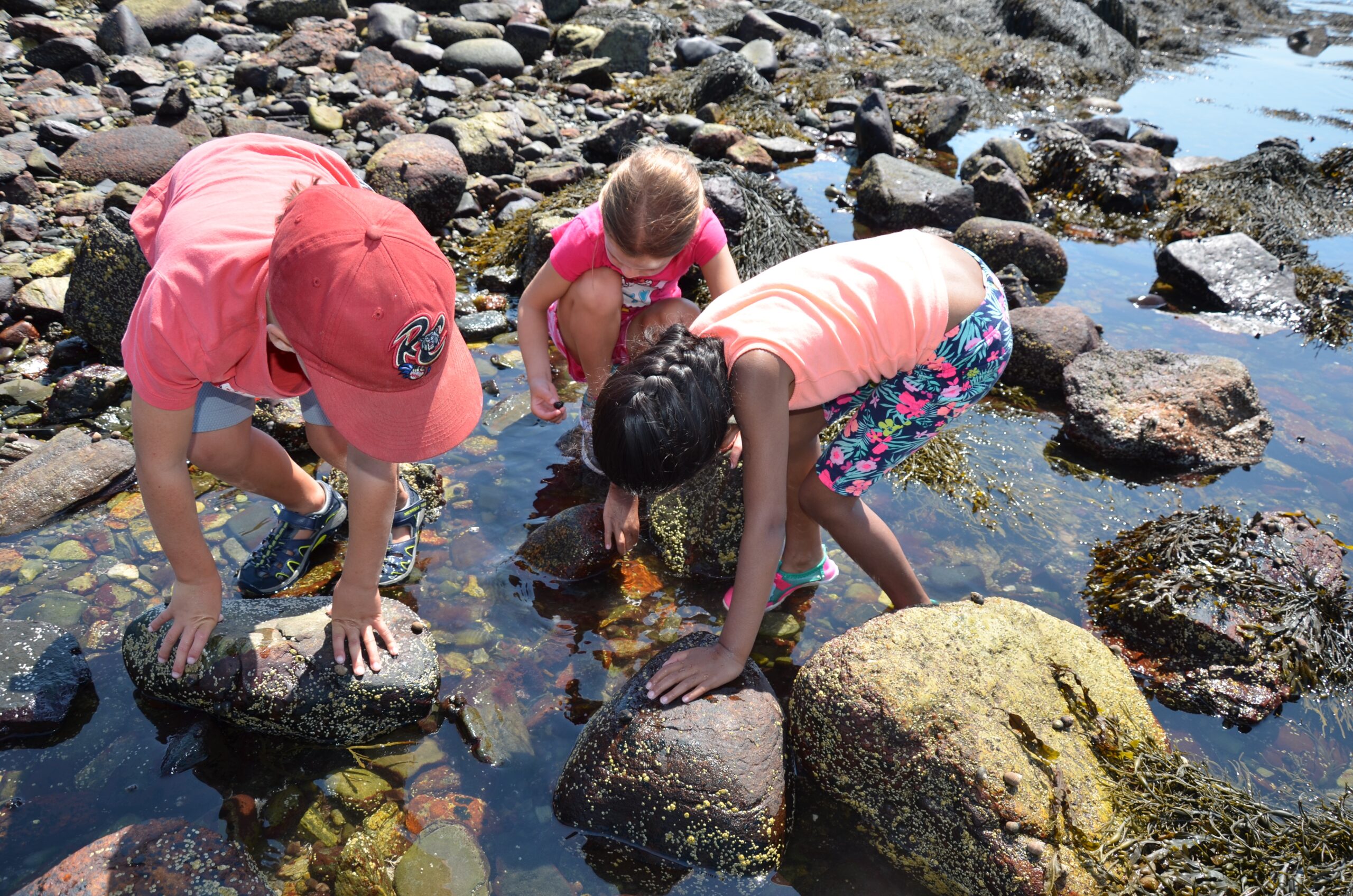 NH kids in tide pool