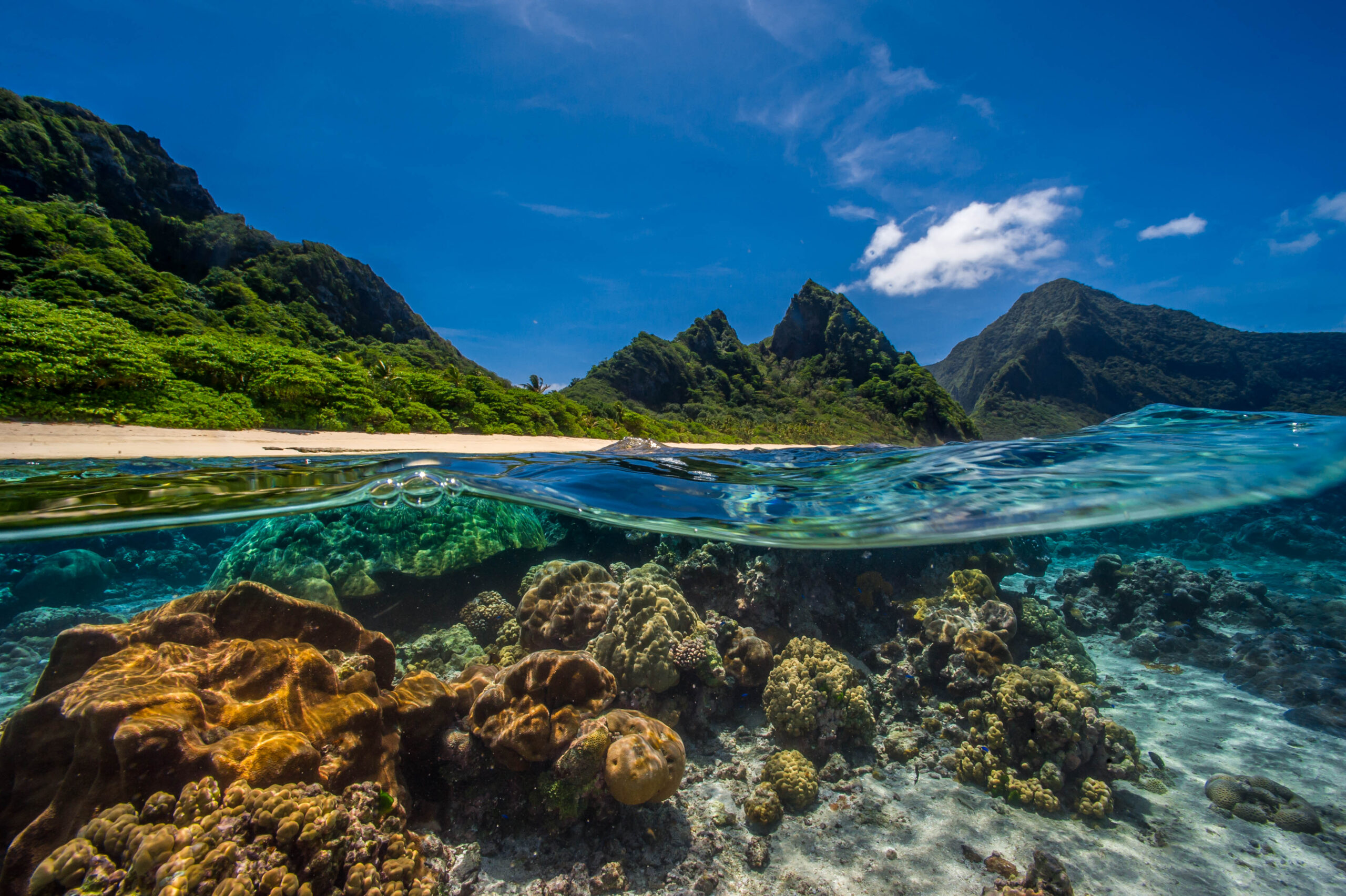 IYORBank_AmericanSamoa_ShaunWolfe_15