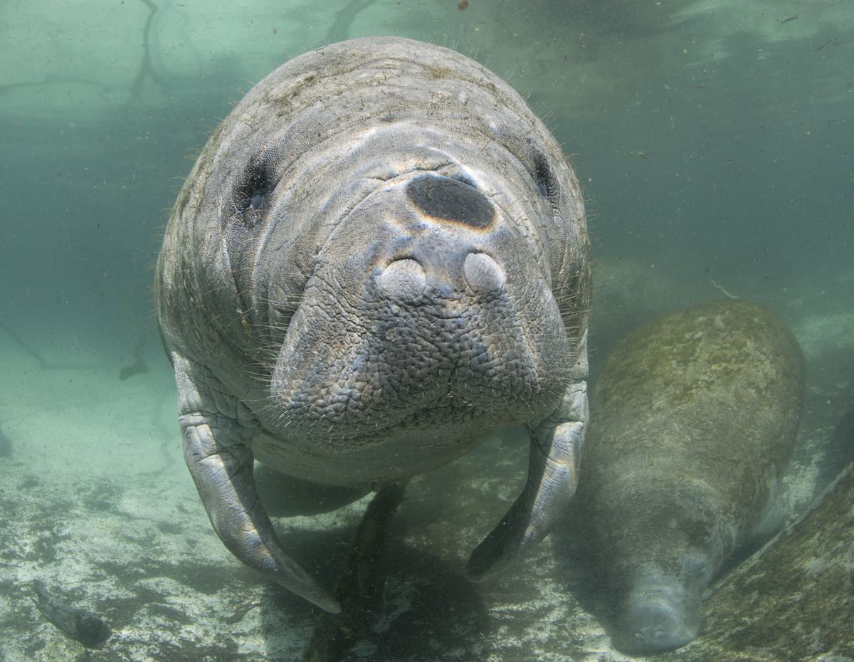 IYORBank_OceanSafari_EllenCuylaerts_07_sm