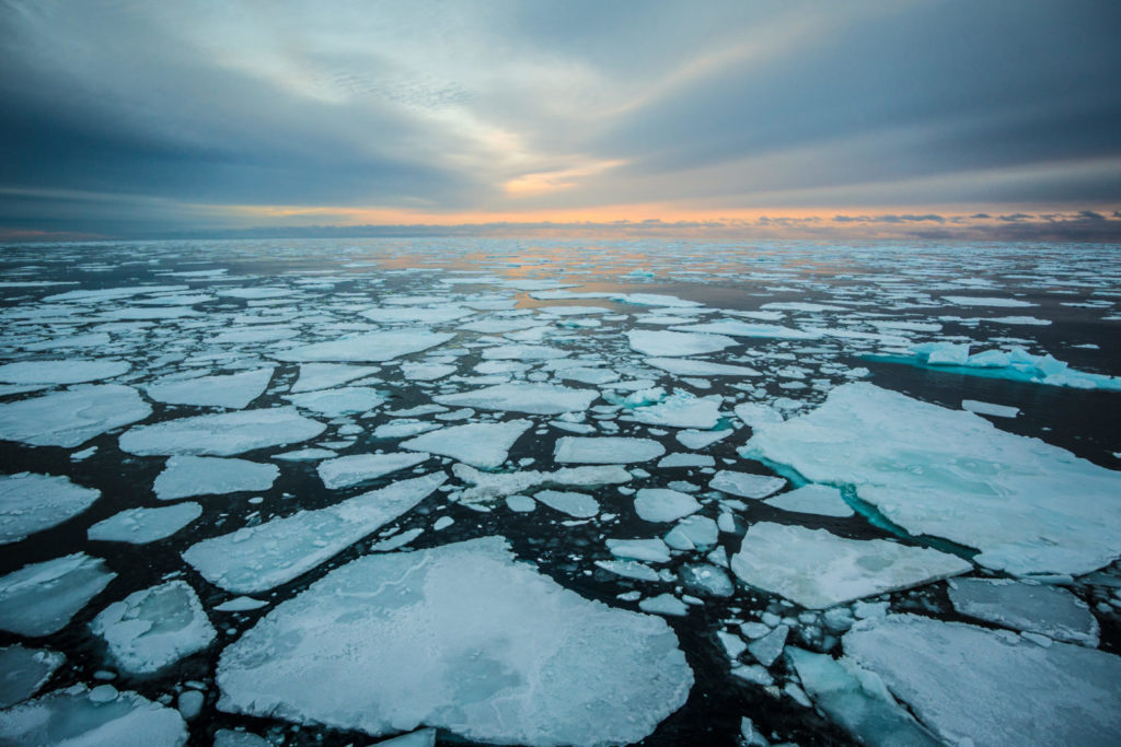 Sunrise over sea ice