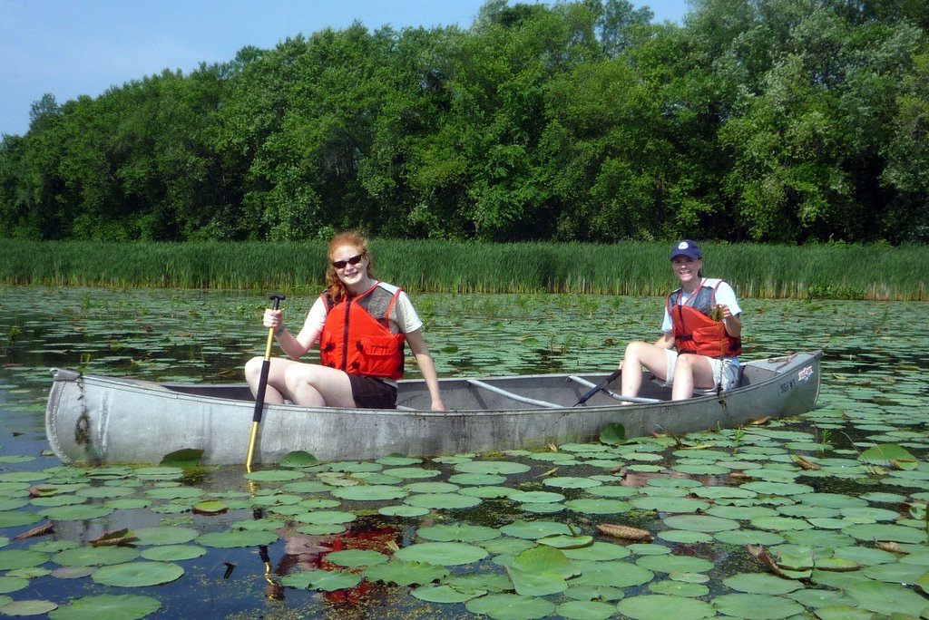Pulling_invasive_species_(9442177737)