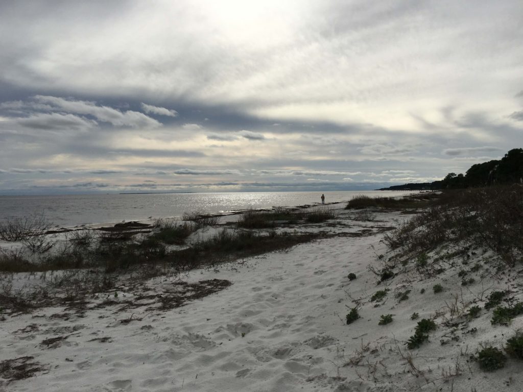 A beautiful coastline in Carabelle, Florida