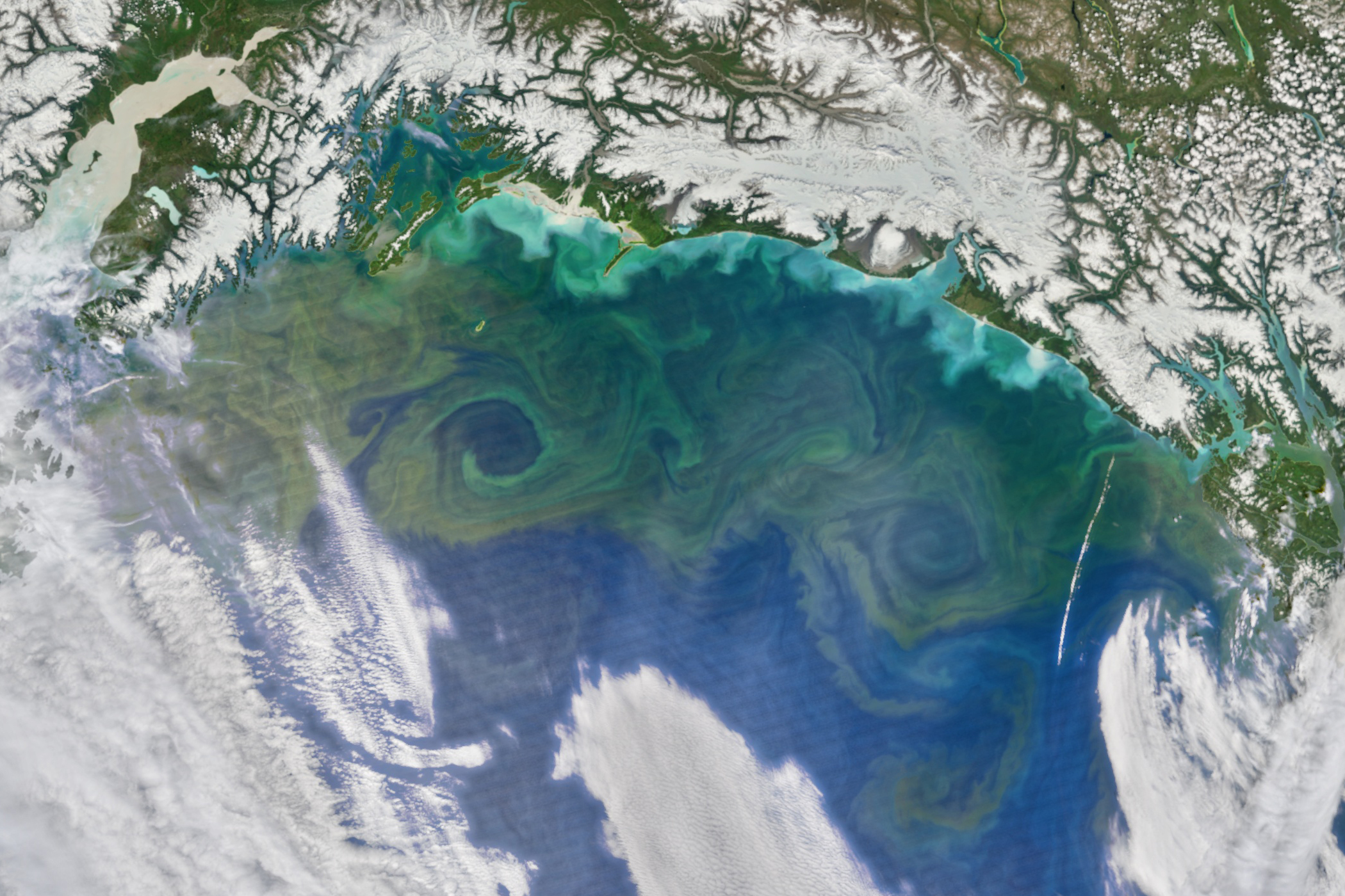 Phytoplankton Bloom_Alaska_NASAsEarthObservatory
