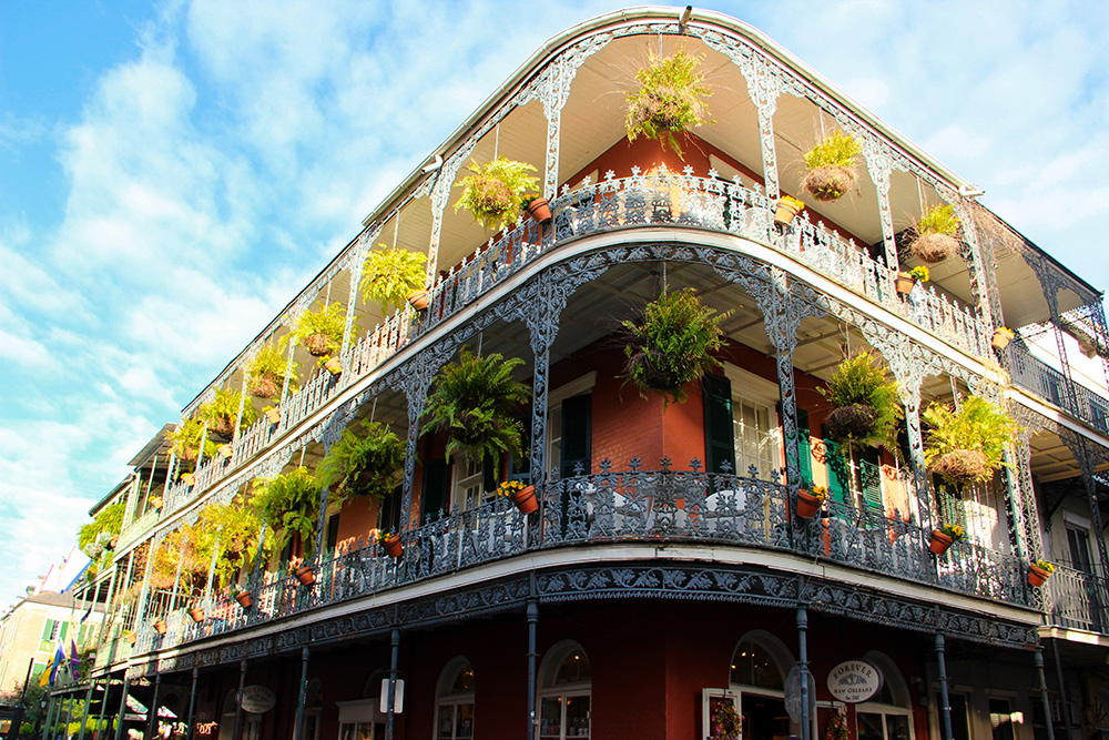Ferns in the French Quarter of New Orleans, Louisiana