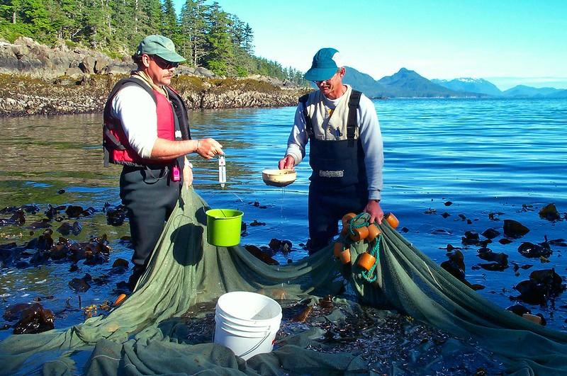 NOAA-FishingLine