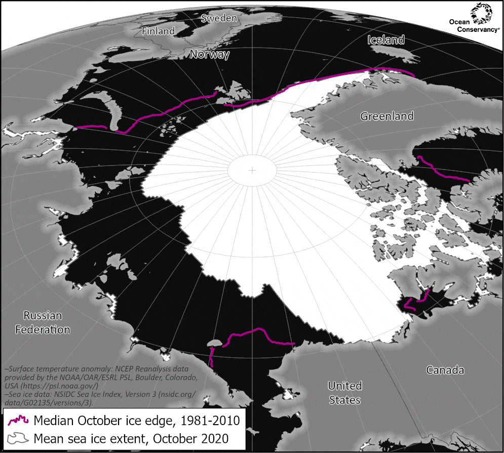 Gif showing correlation between temperatures and sea ice extent in the Siberian Arctic