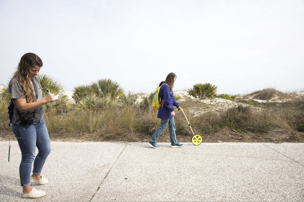 The Jambeck Research Group conducting a litter transect.