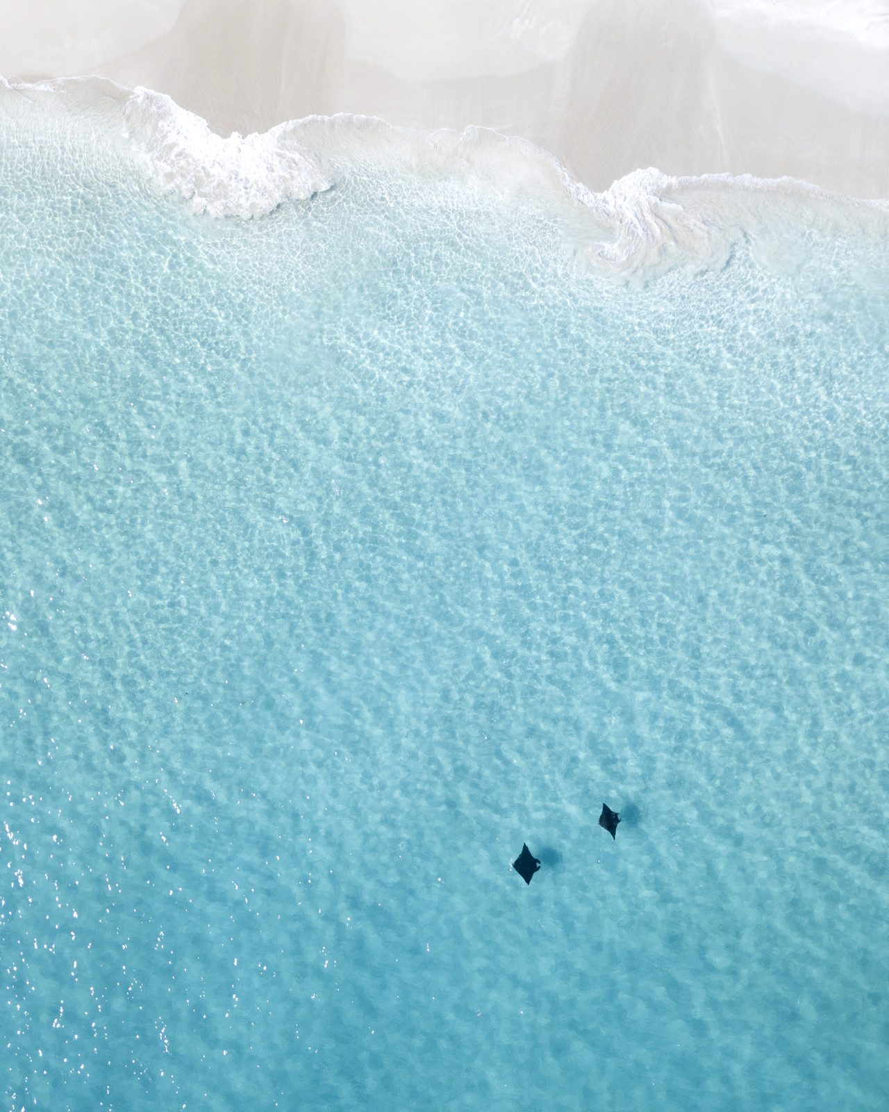 AnotherDayInCoralBay_Sam_Lawrence