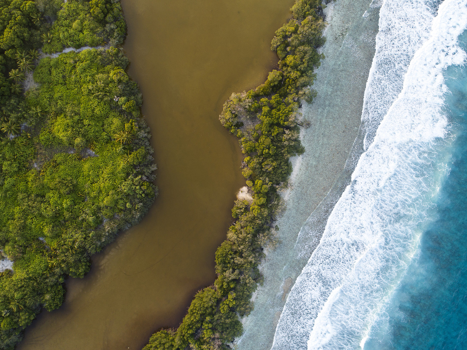 MangrovesCoastlineAndReef_Azim_Musthag