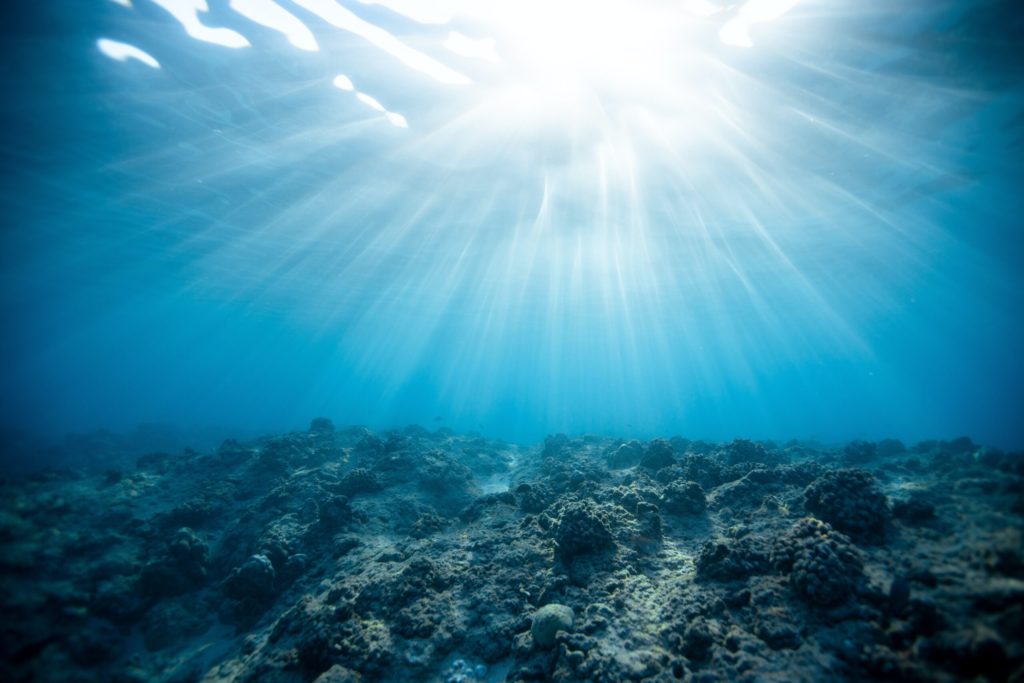 Sun rays shine through the oceans surface