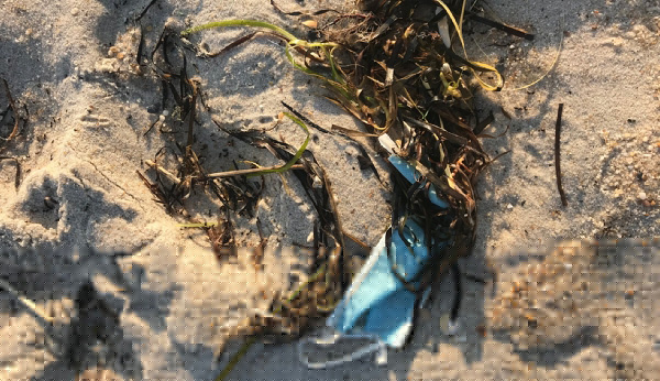 A used face mask abandoned on a beach in Long Island.