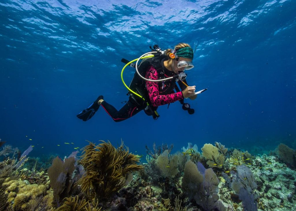diver taking notes on a reef