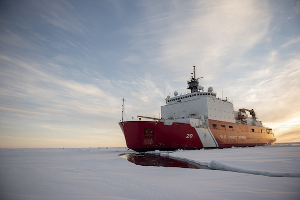 Healy in the ice