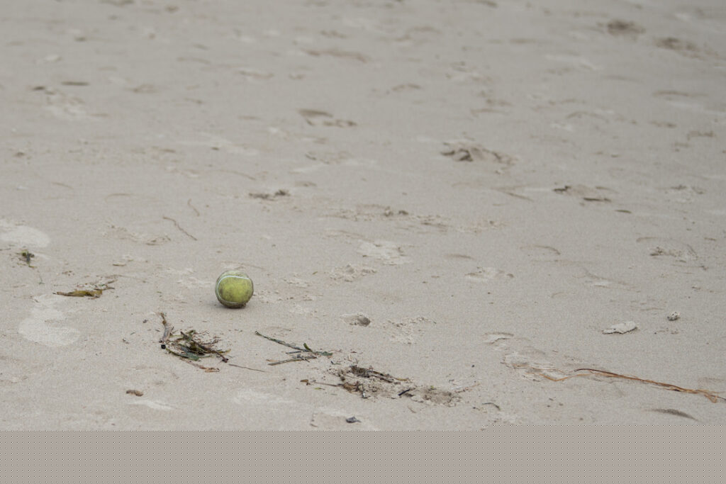Trash cleanups on the beach