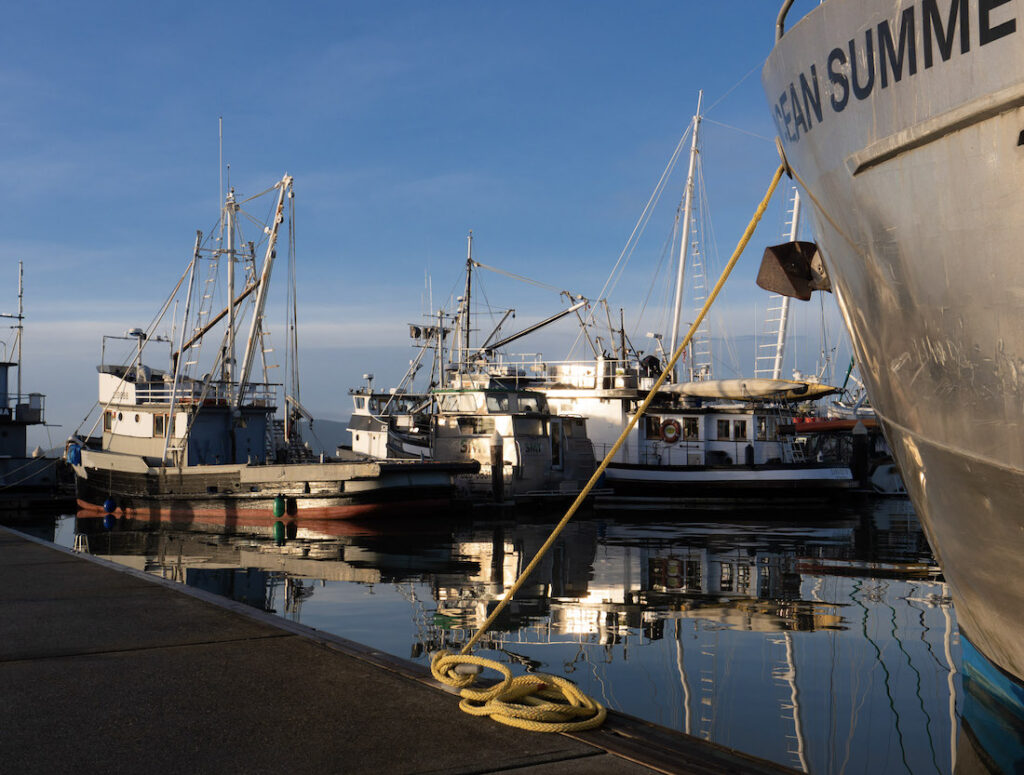 Fishing boats sit at the dock