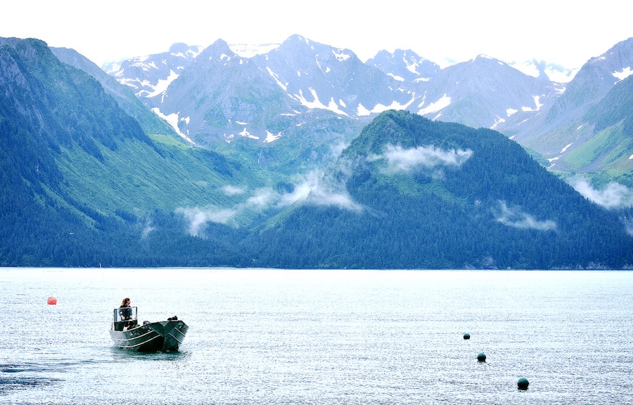 Gulf of Alaska fisheries, fisher in the water
