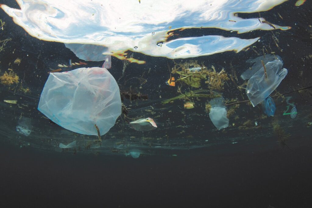 The draft EPA Plastic Pollution Plan calls out single-use plastics most commonly littering our ocean.
