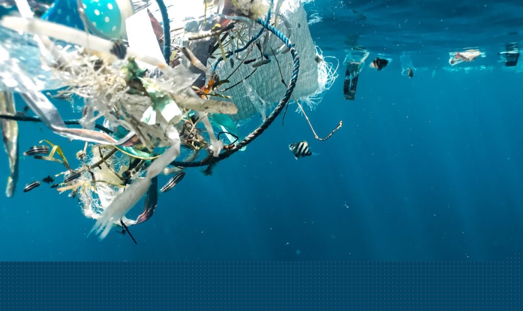 Microplastics in the ocean near a fish