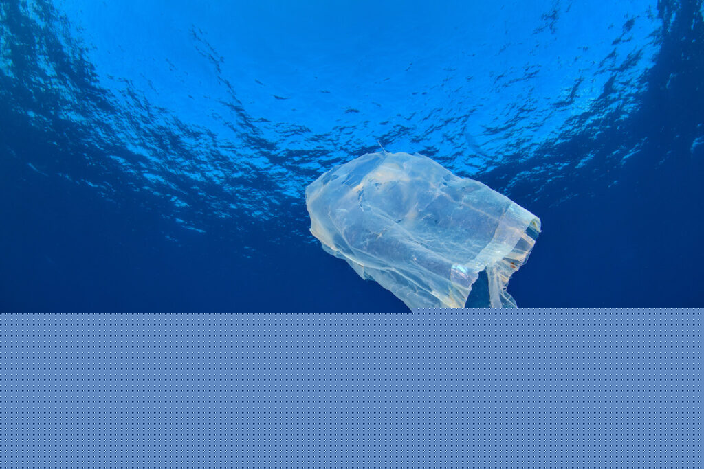 A discarded plastic bag impersonates a jellyfish in open water during fight to end plastic pollution