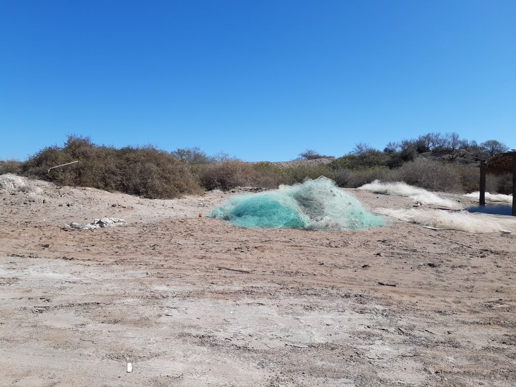 NANCI Ghost gear in Santa Rosalia Mulege corridor