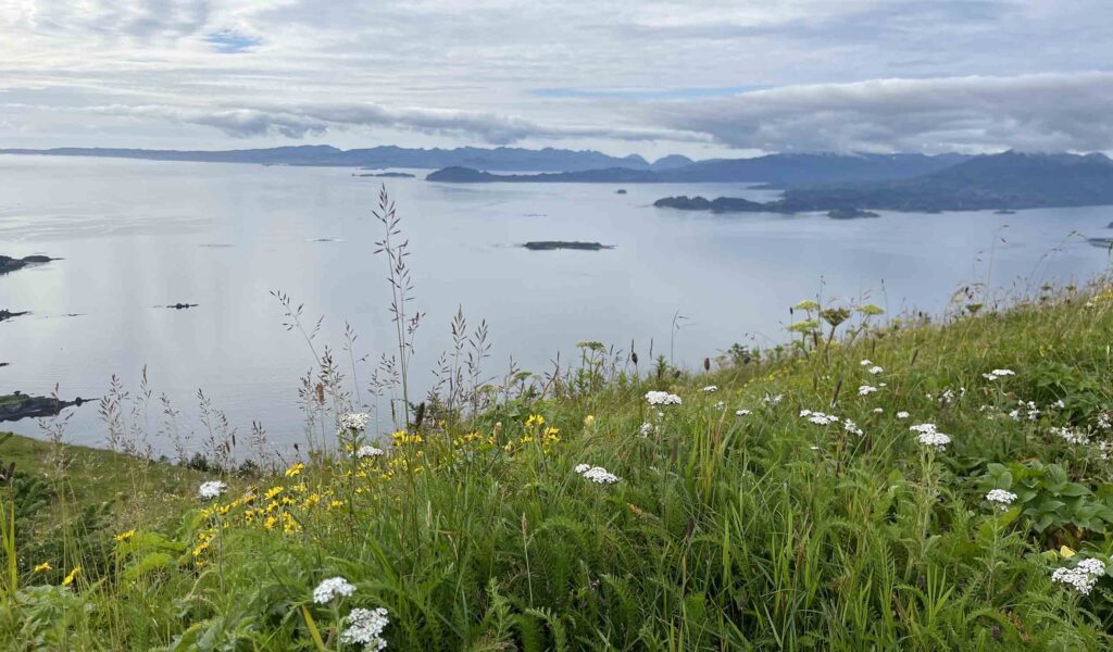 Greenery in the foreground, looking out to a beautiful blue shoreline off the Alaska Marine Highway System