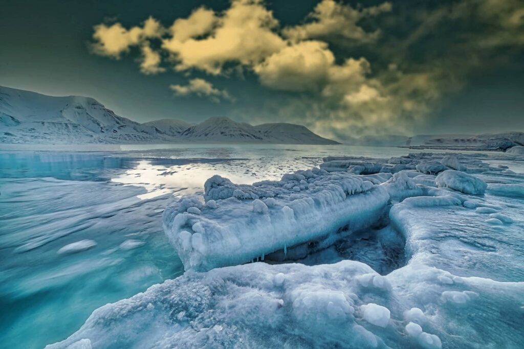 Arctic scene