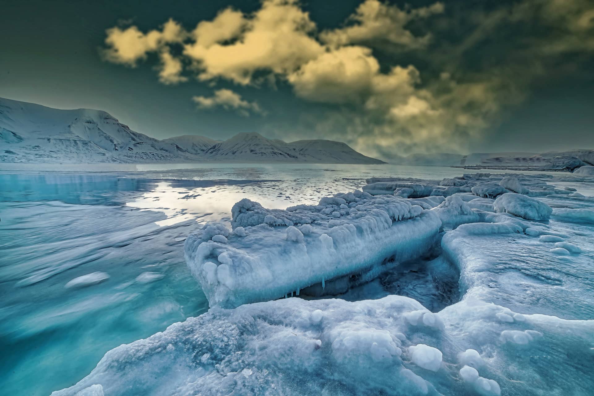 Arctic scene
