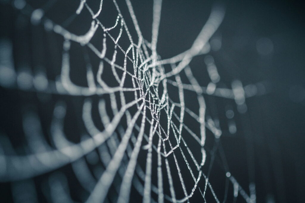 Spider web Halloween