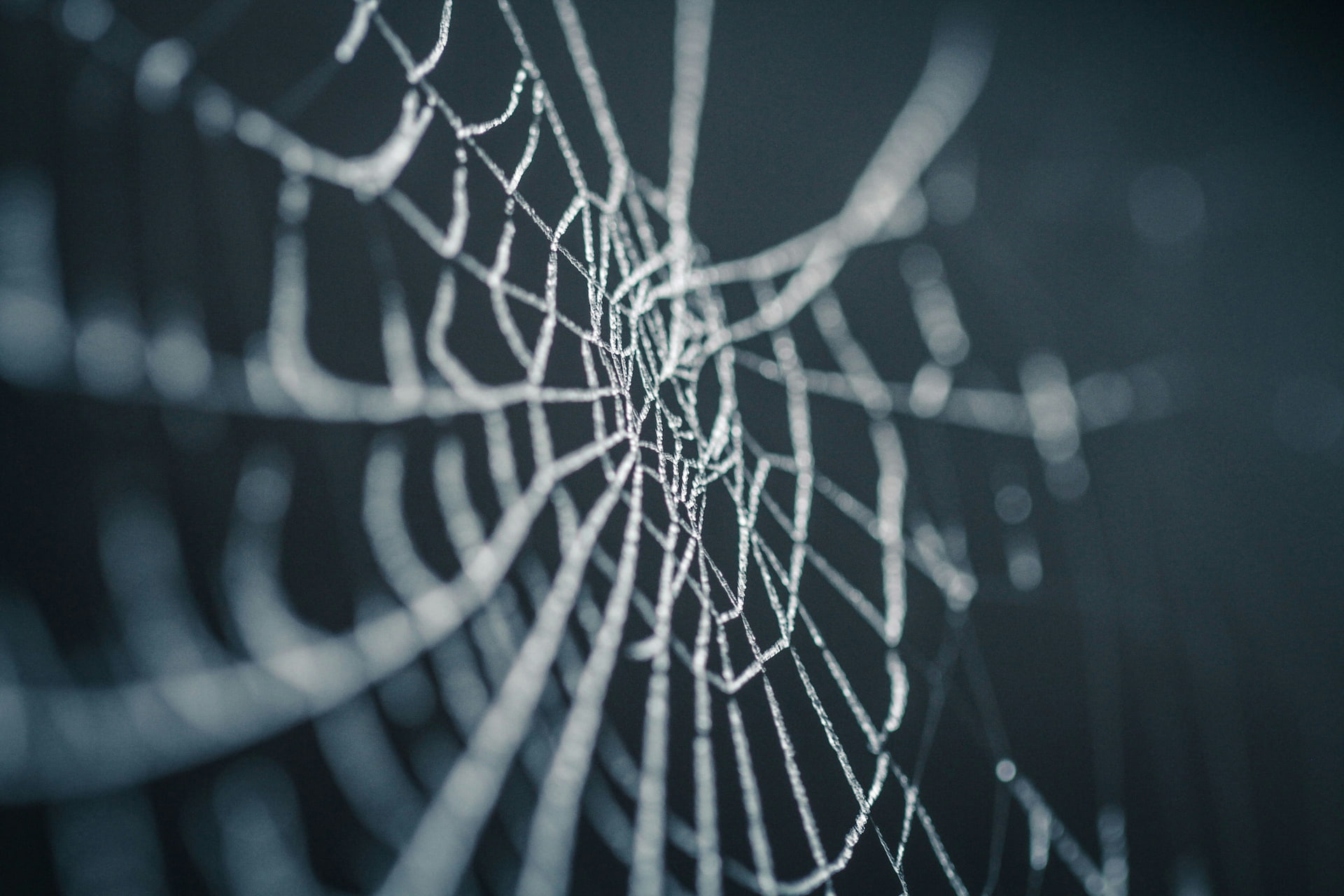 Spider web Halloween