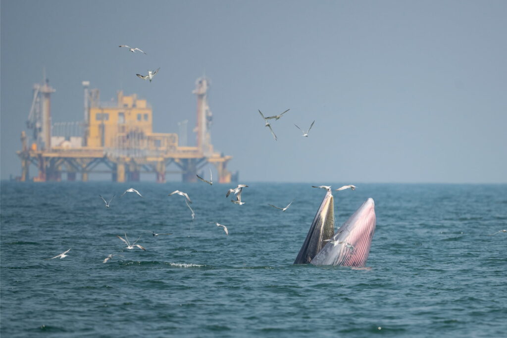 Offshore Drilling