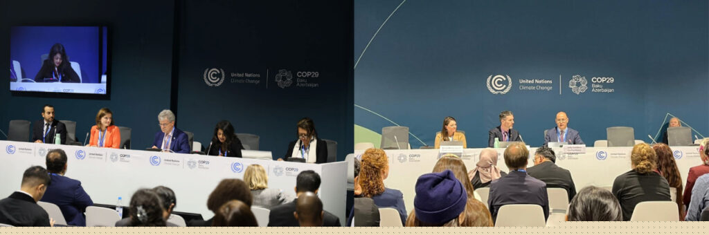 COP29